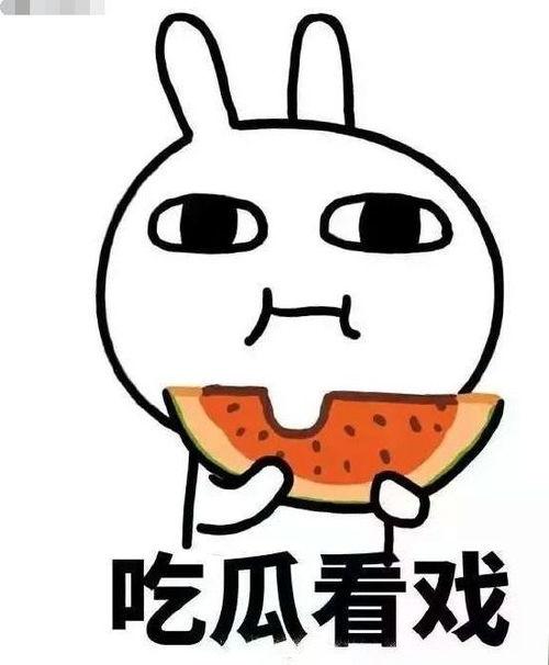 娛樂吃瓜君綿羊,揭秘娛樂圈幕后故事